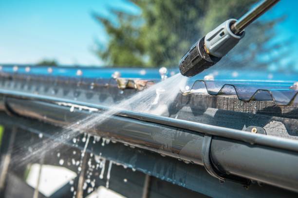 Best Affordable Power Washing  in Pierz, MN