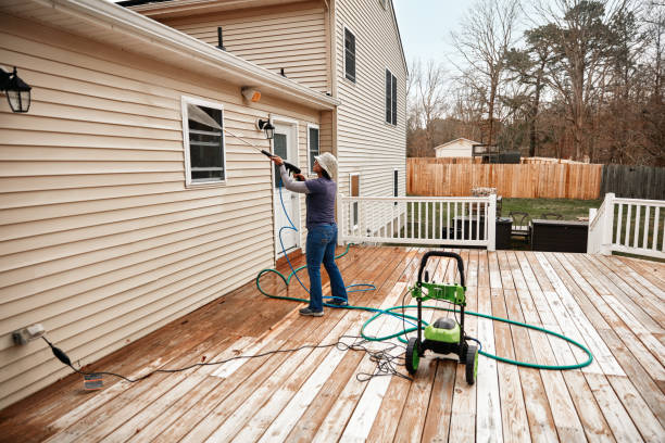 Best Roof Pressure Washing  in Pierz, MN