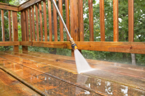 Best Residential Pressure Washing Services  in Pierz, MN