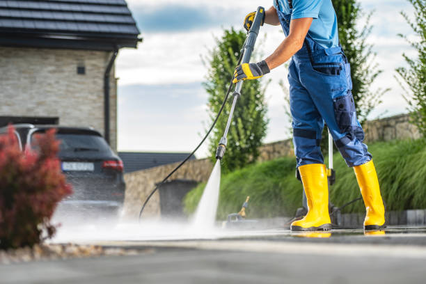 Best Pressure Washing Services for Businesses  in Pierz, MN