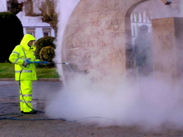 Best Best Pressure Washing Companies  in Pierz, MN