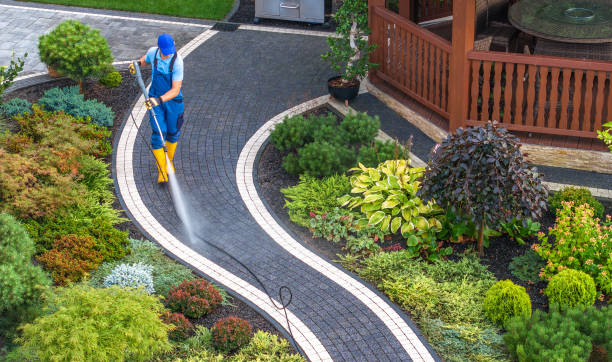 Best Sidewalk Pressure Washing  in Pierz, MN